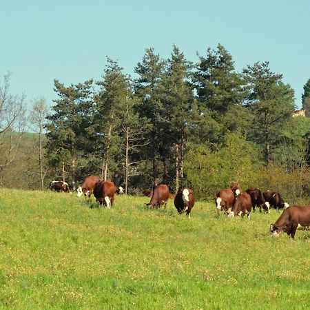 Gites A La Ferme De Bacon Saint-Sylvestre  Exteriör bild
