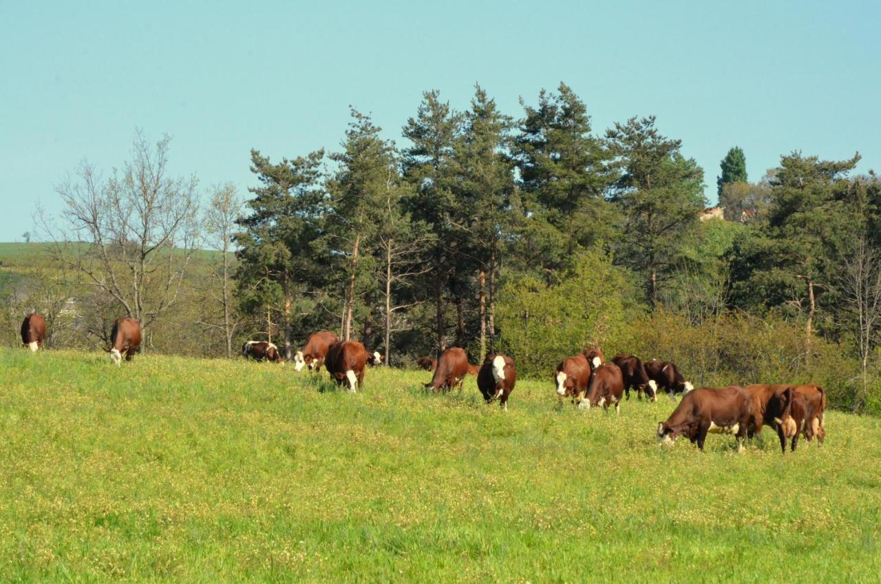 Gites A La Ferme De Bacon Saint-Sylvestre  Exteriör bild